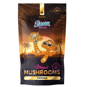 Enigma Magic Mushrooms