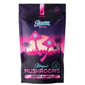 White Burma Magic Mushrooms