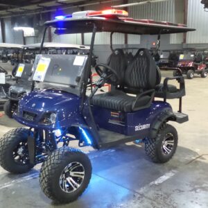 2025 MD Pro Security